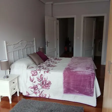 Apartamento Larrauri *